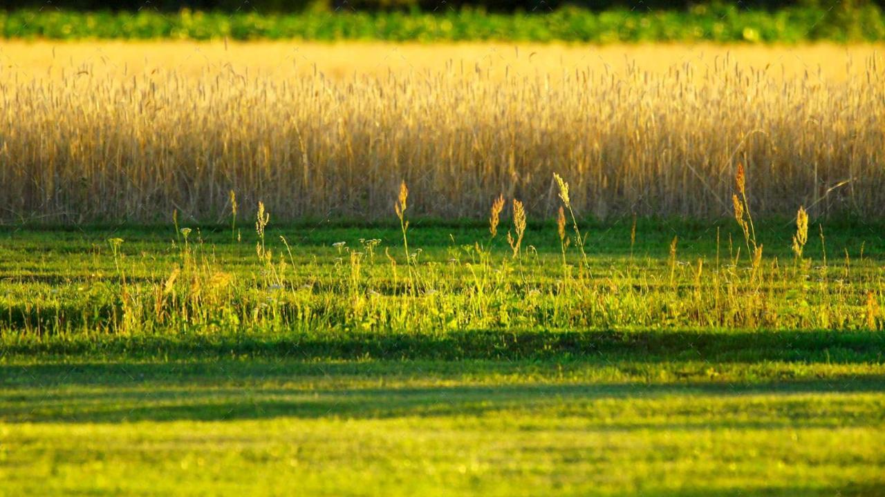 Janischs Fewo Im Spreewald, Terrasse, Grosser Garten Und Blick Inklusive Unterspreewald Esterno foto