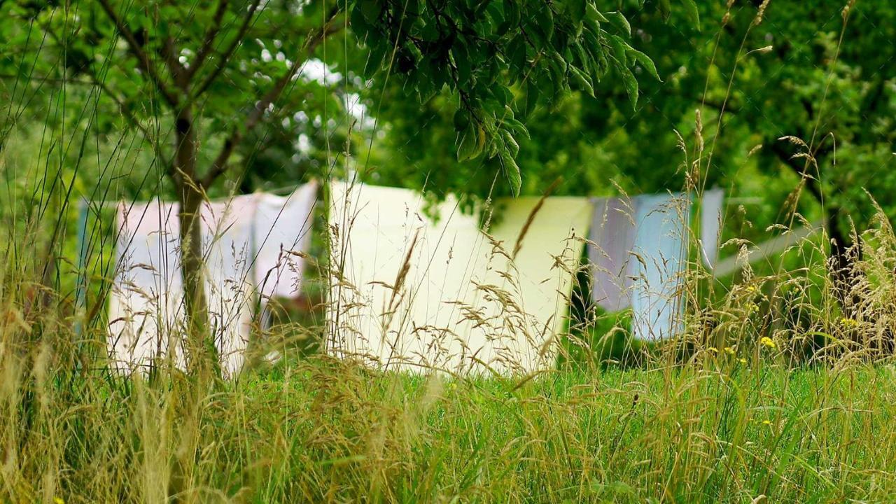 Janischs Fewo Im Spreewald, Terrasse, Grosser Garten Und Blick Inklusive Unterspreewald Esterno foto
