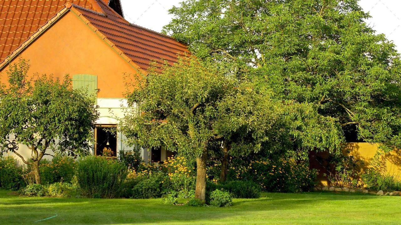 Janischs Fewo Im Spreewald, Terrasse, Grosser Garten Und Blick Inklusive Unterspreewald Esterno foto