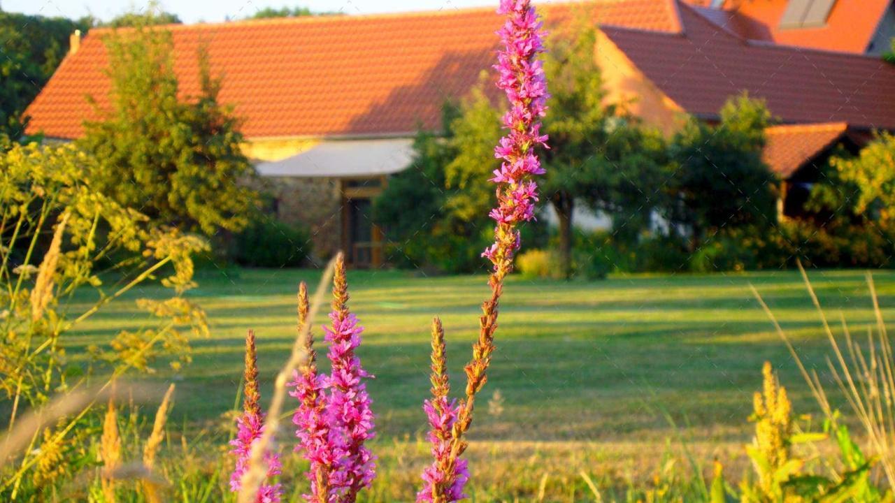 Janischs Fewo Im Spreewald, Terrasse, Grosser Garten Und Blick Inklusive Unterspreewald Esterno foto