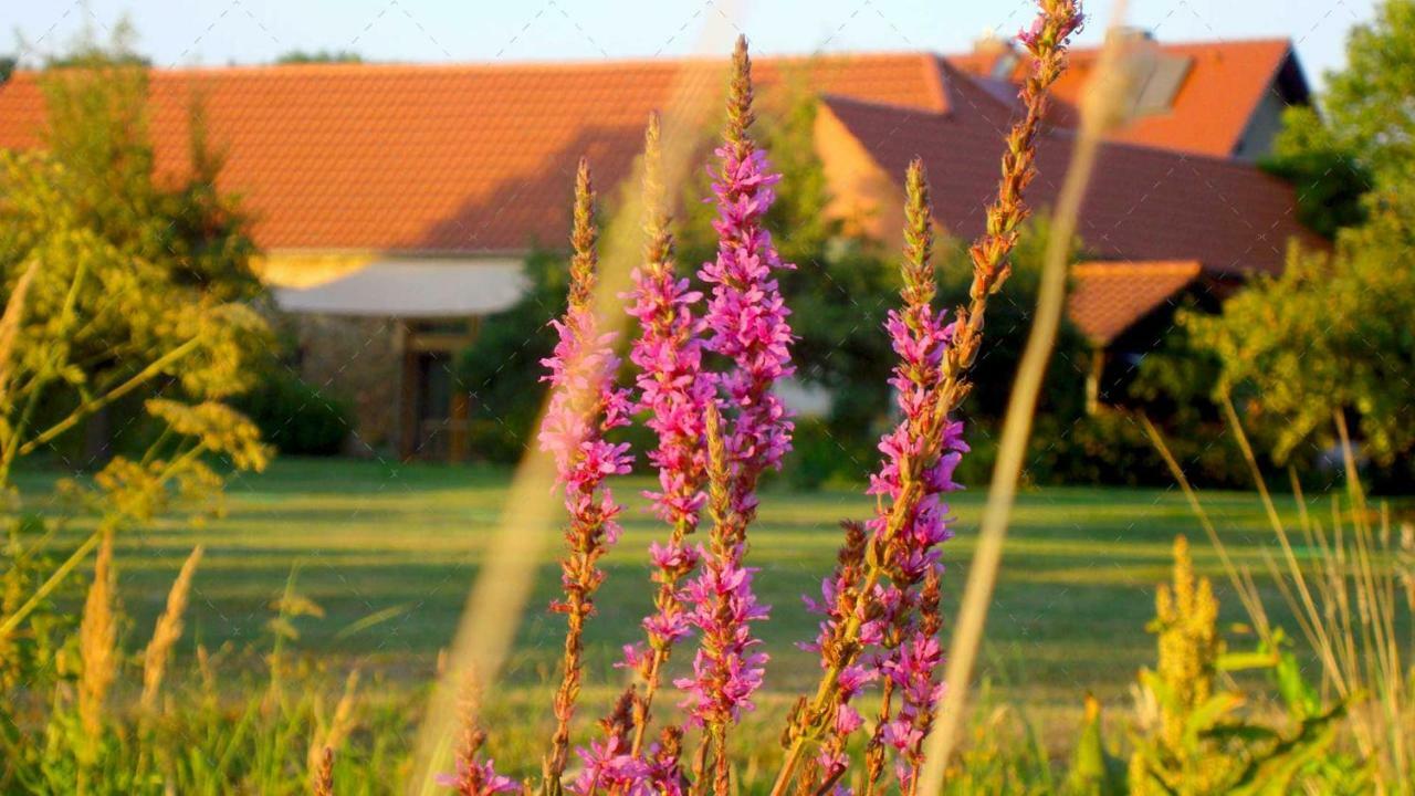 Janischs Fewo Im Spreewald, Terrasse, Grosser Garten Und Blick Inklusive Unterspreewald Esterno foto