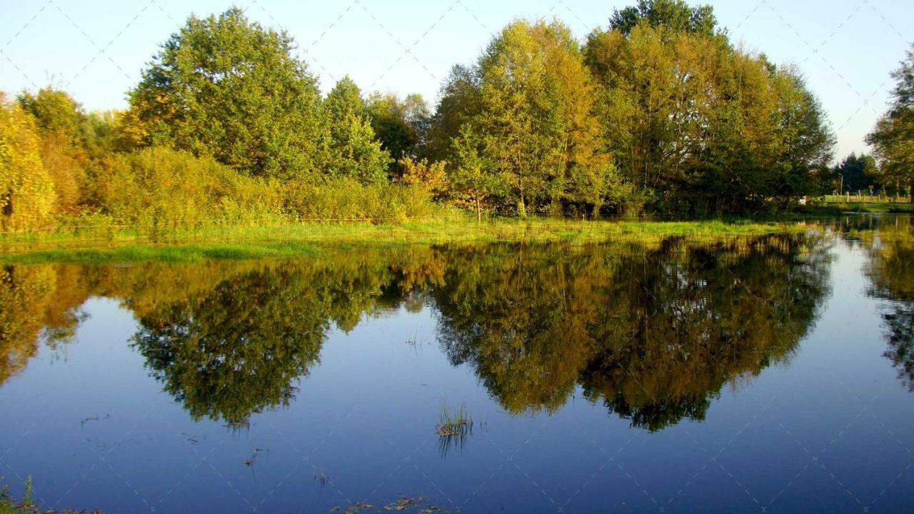 Janischs Fewo Im Spreewald, Terrasse, Grosser Garten Und Blick Inklusive Unterspreewald Esterno foto